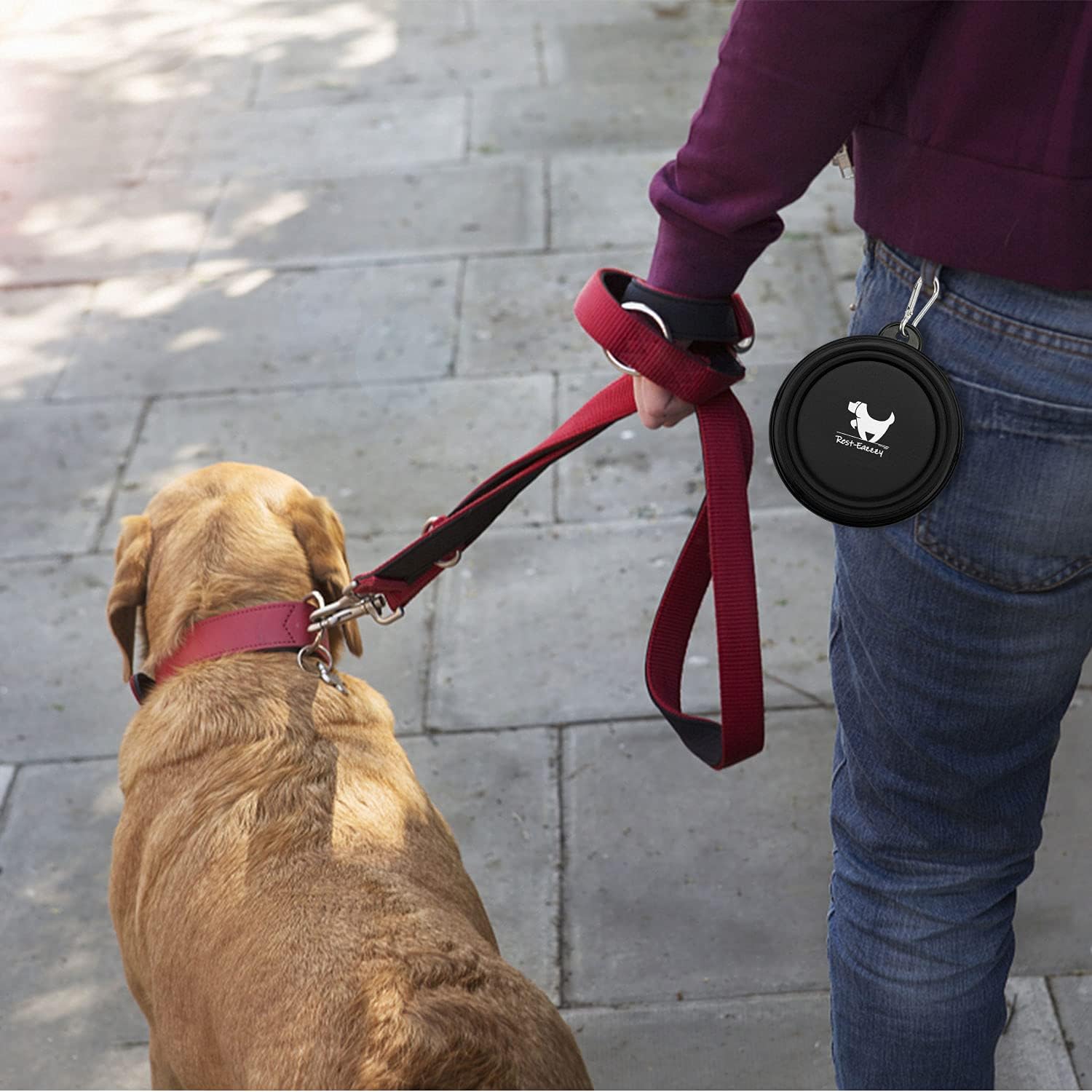 Travel-Friendly Collapsible Dog Bowls - 2-Pack Portable Water & Feeding Dishes with Carabiners, BPA Free